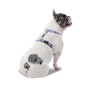 ArnesFiggo3QT-2.webp