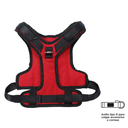 PecheraRexR74-5.webp