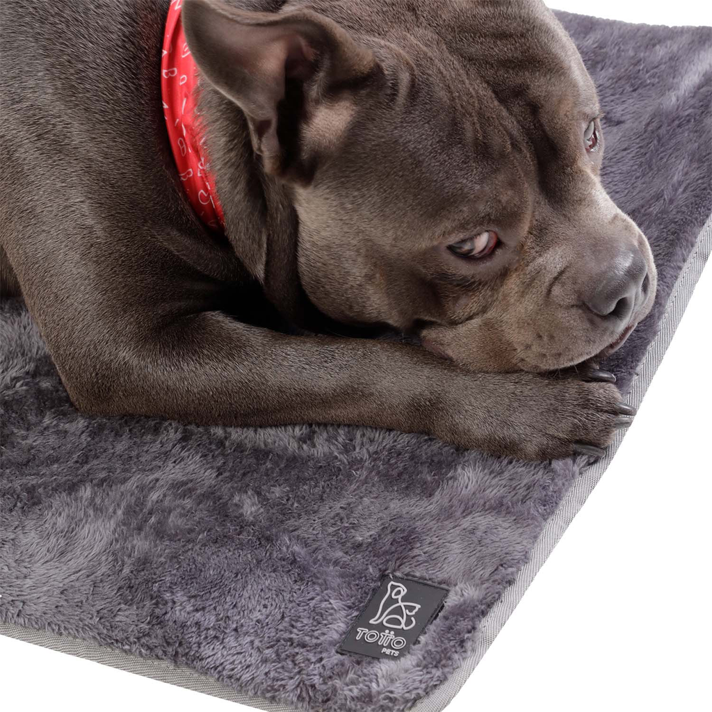 CAMA PORTATIL SHERPY:L:G11:5.webp