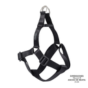 ArnesCaminataBrunoN01-4.webp