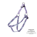 ArnesCaminataBrunno3QT-.webp