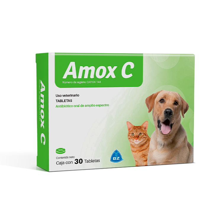 [C000028] AMOX C TABLETAS