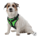 ARNES DE CAMINATA PECHERA TACO/XS/2AN/