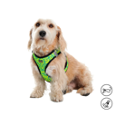 ARNES DE CAMINATA PECHERA TOBY/S/2AN/