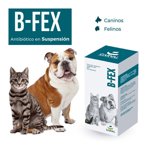 [C000173] B-FEX * 60mL