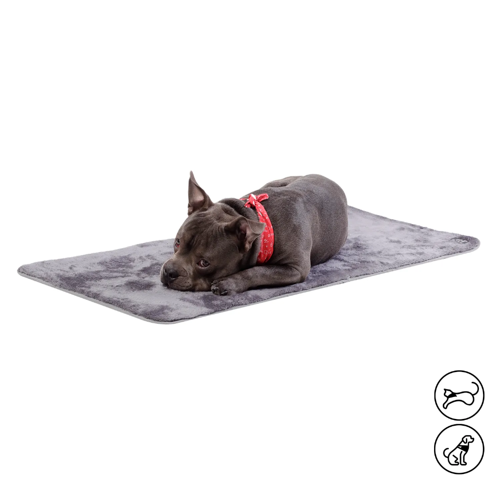 [C000496] CAMA PORTATIL SHERPY/L/G11/