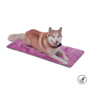 CAMA PORTATIL SHERPY/M/M89/