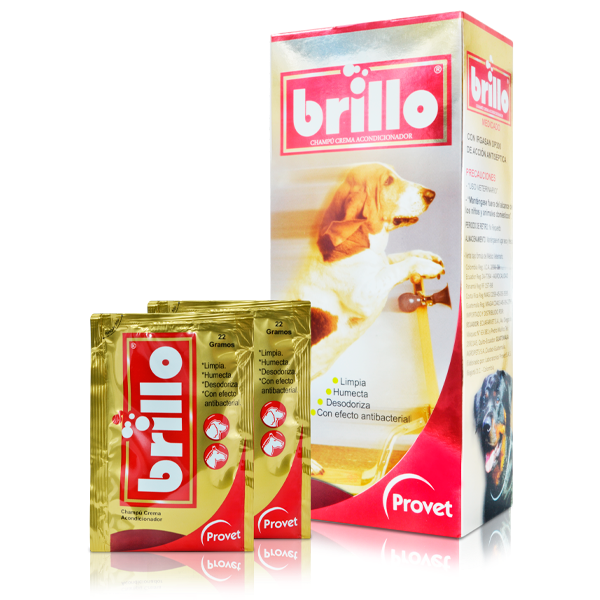 CHAMPU BRILLO SOBRE * 22 GR