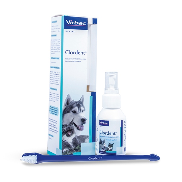 CLORDENT SPRAY 120 mL