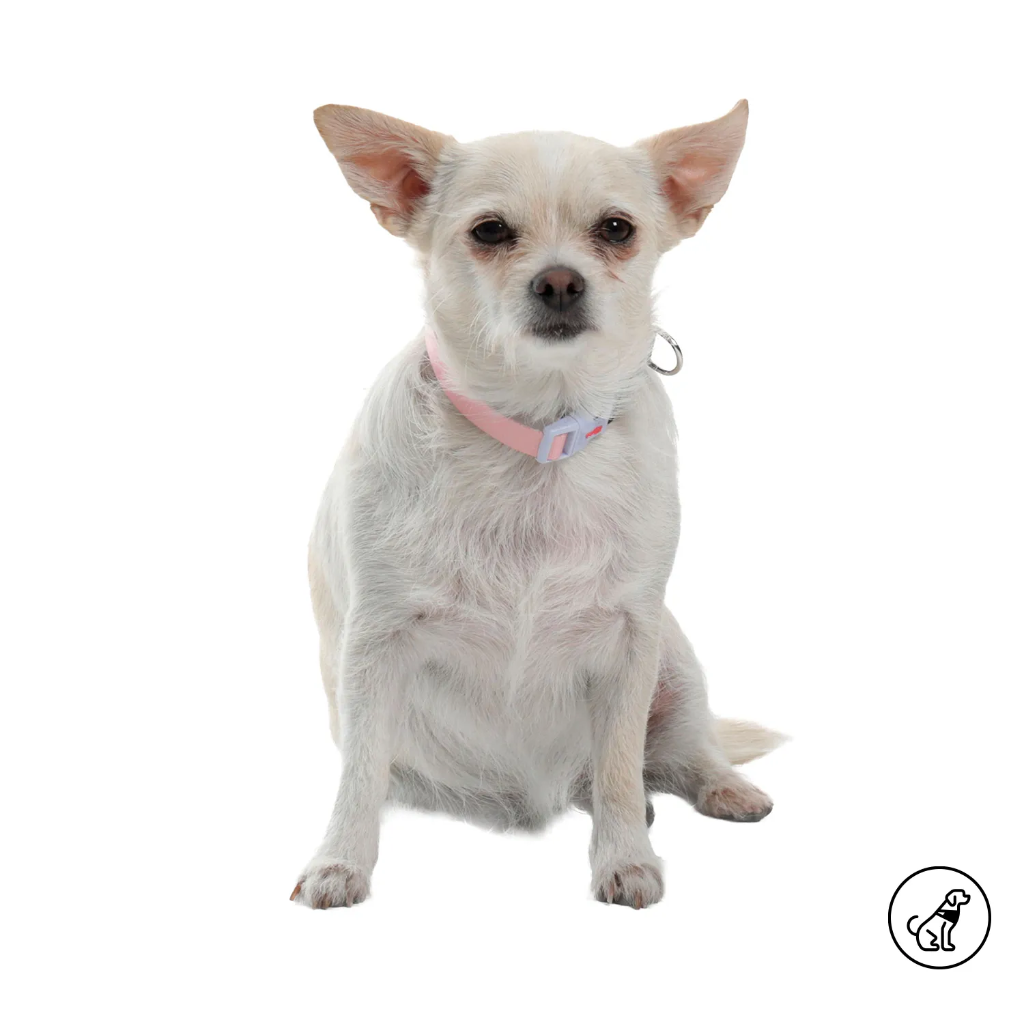 COLLAR AJUSTABLE MYLU/S/P56/