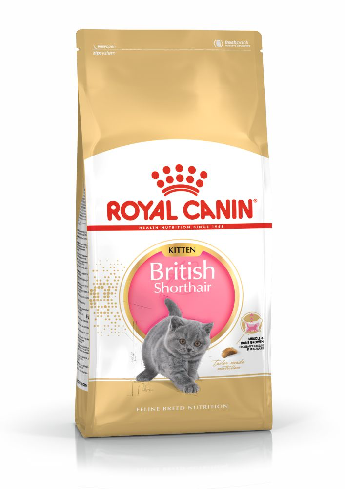 [C001095] ROYAL CANIN FBN BRITISH SHORT HAIR KITTEN 2KG
