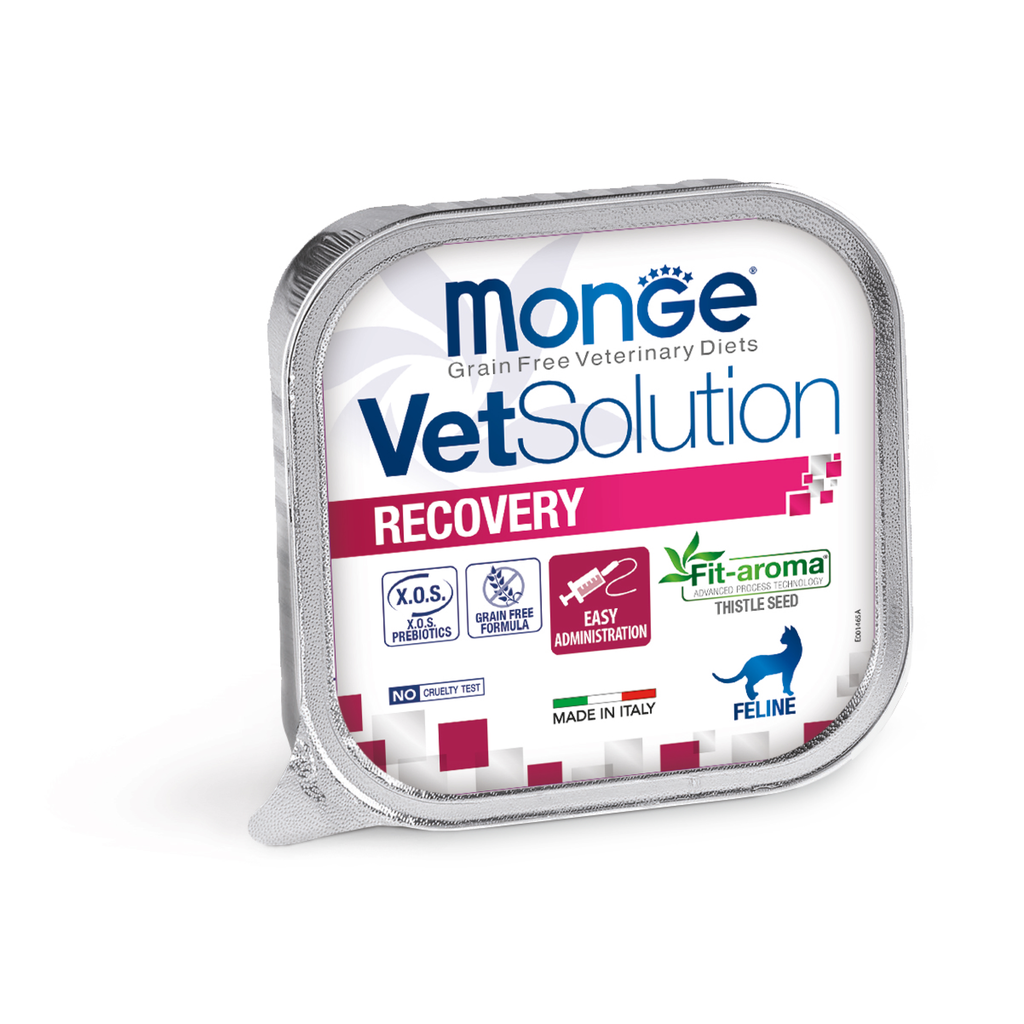 [C001475] MONGE VET SOLUTION RECOVERY FELINE * 100GR