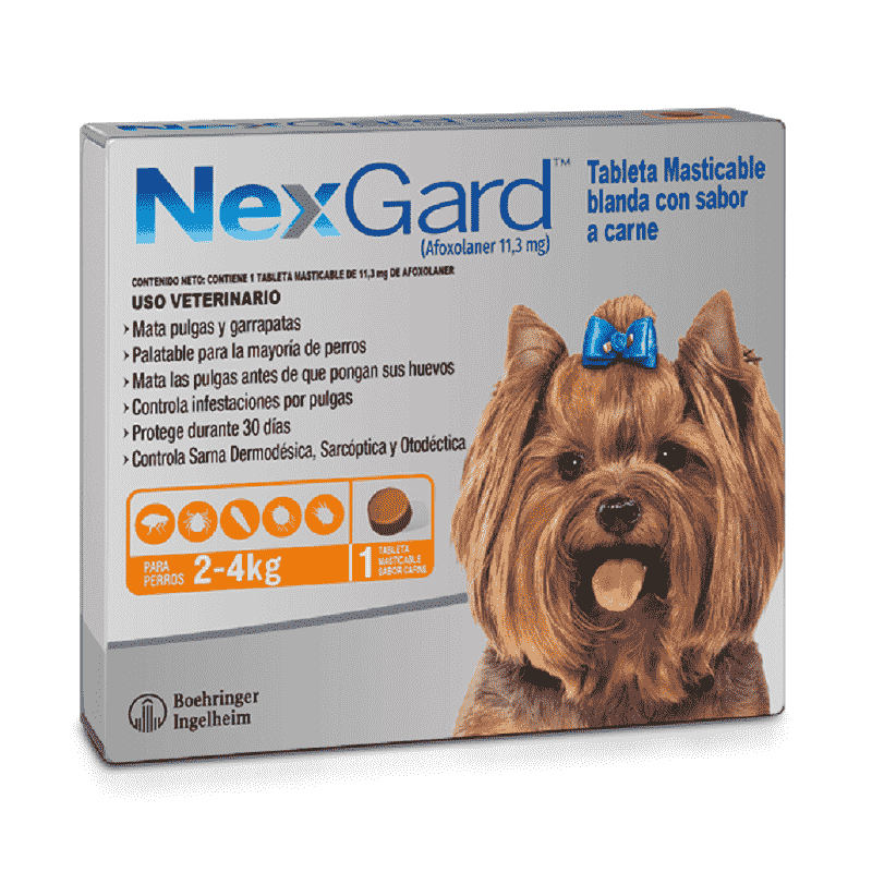 NEXGARD CHEWABLE 2 - 4KG * 1 DOSIS S