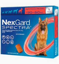 NEXGARD SPECTRA 30 - 60KG X * 1 DOSIS XL