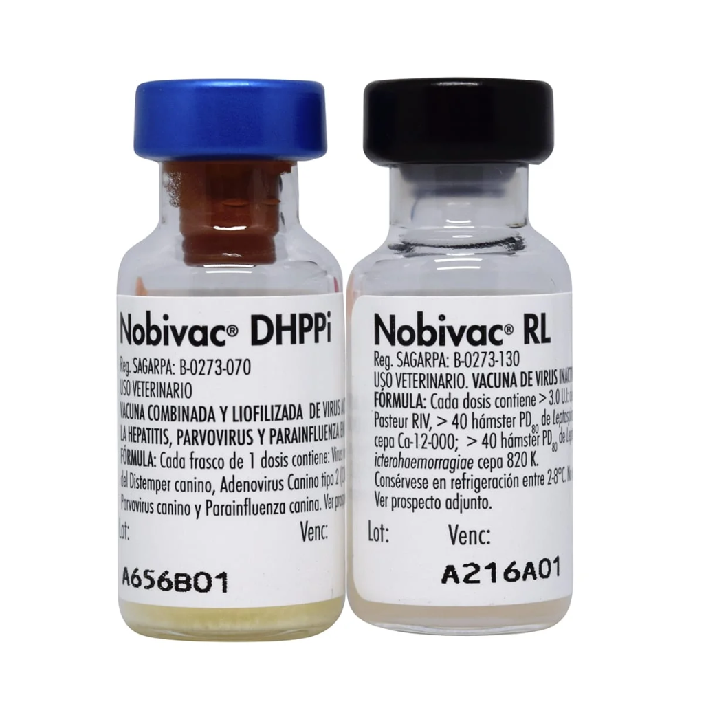 NOVIBAC DHPPi + RL (SEXTUPLE)