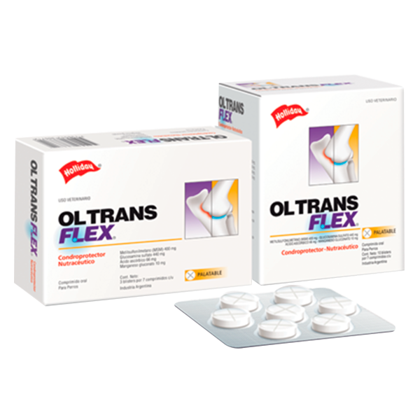 [C001624] OL-TRANS FLEX BLISTER 7 COMP