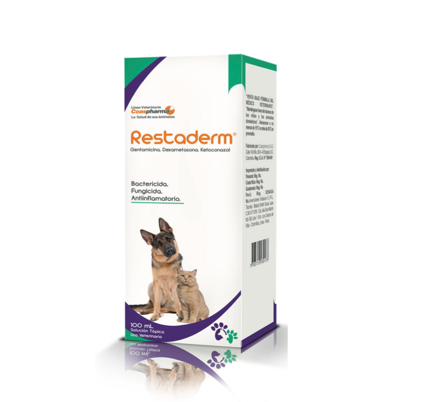 RESTADERM SPRAY * 100 mL