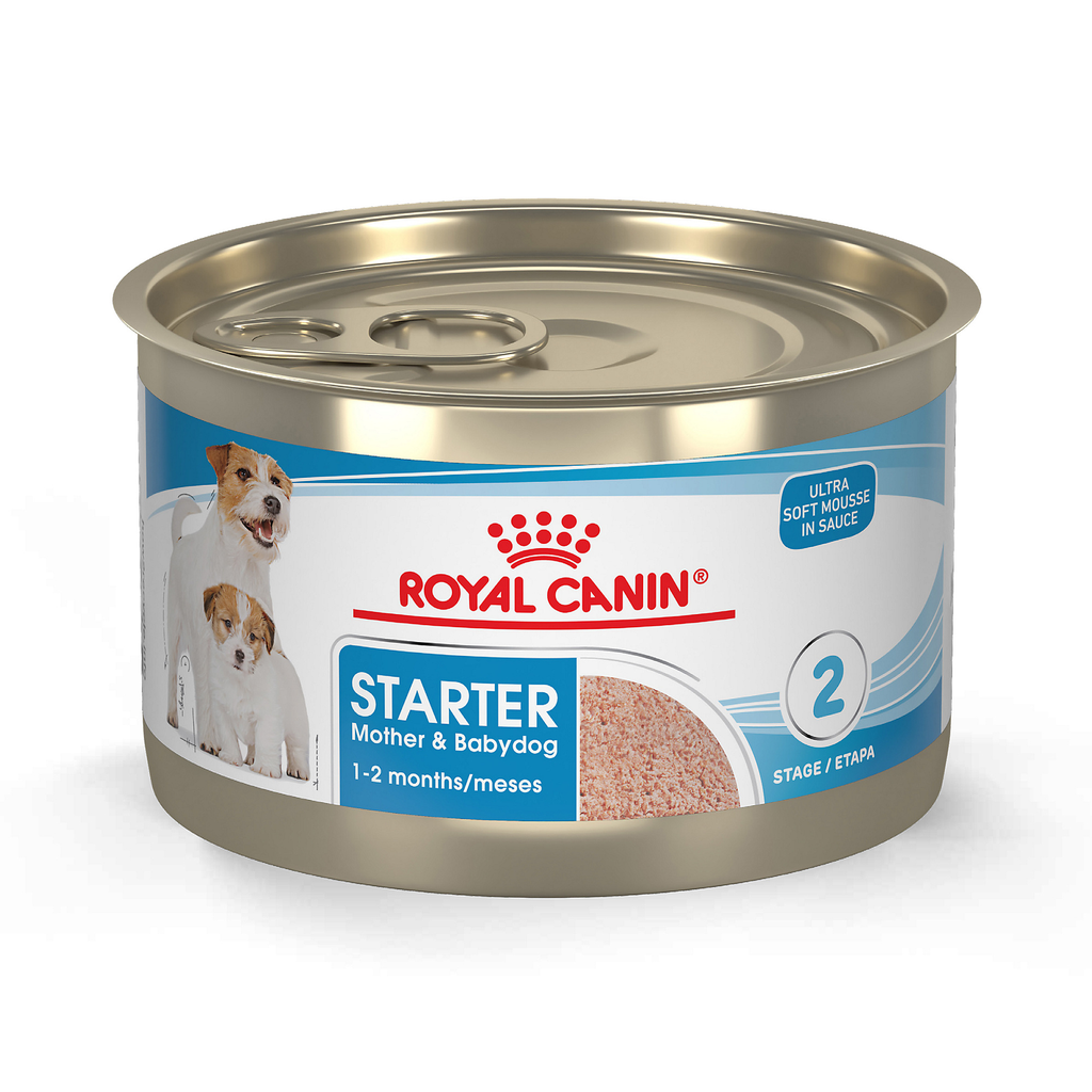 [C001974] ROYAL CANIN SHN STARTER M&B DOG WET 0.154KG