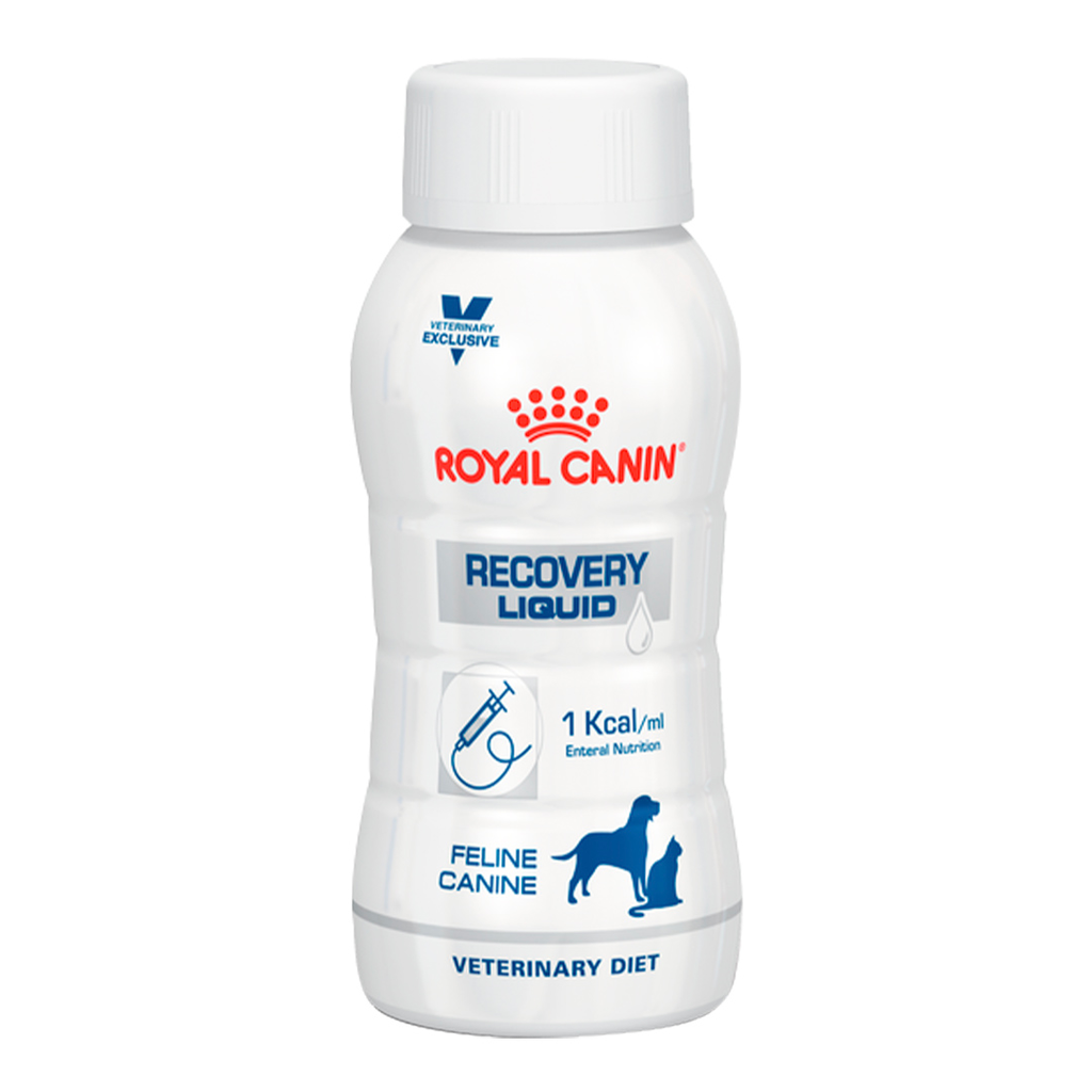 ROYAL CANIN VDC RECOVERY LIQ 237mL 4PACK