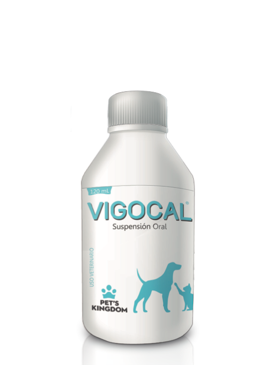 VIGOCAL ORAL * 120 mL