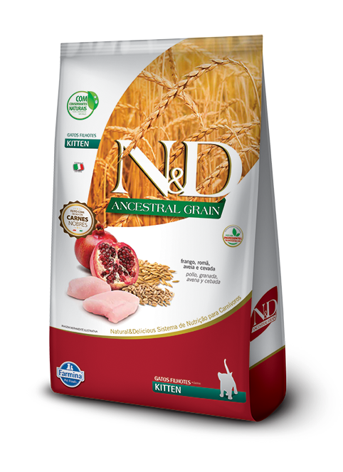 ND ANCESTRAL FELINE FRANGO KITTEN