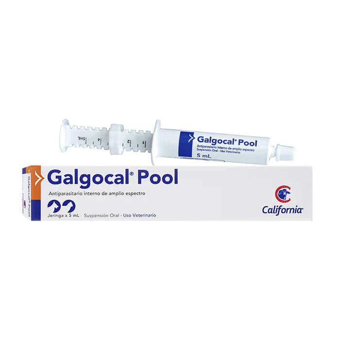 GALGOCAL POOL SUSP ORAL * 5 ML