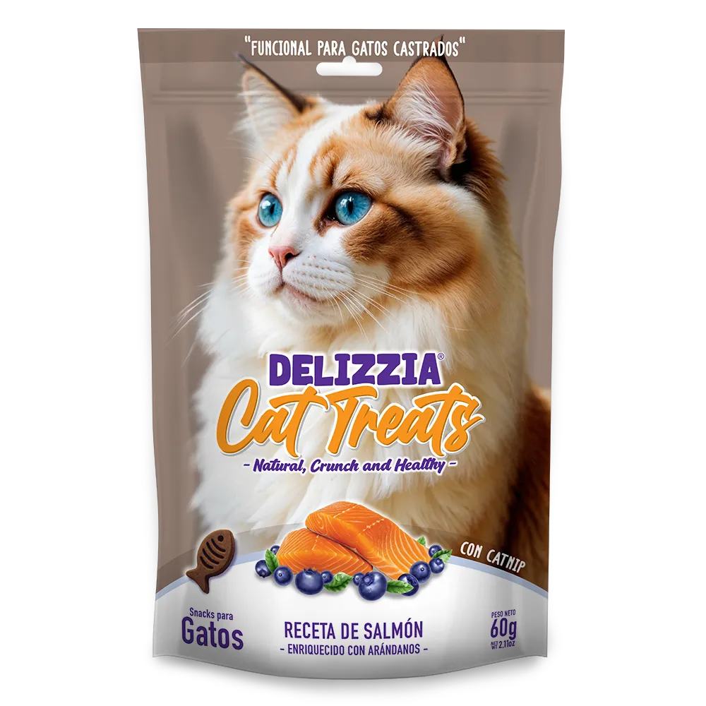 DELIZZIA CAT TREAT * 60 GR