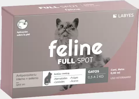 FELINE FULLSPOT